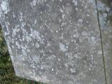 image of grave number 551044